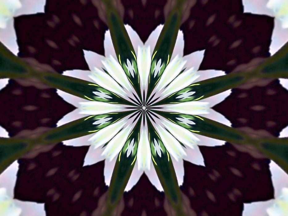 Blume des Lebens - CALVENDO Foto-Puzzle'