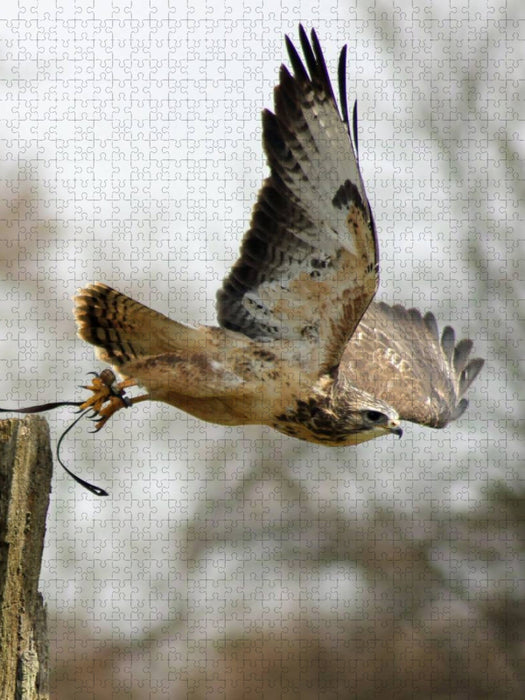 Abflug - CALVENDO Foto-Puzzle'