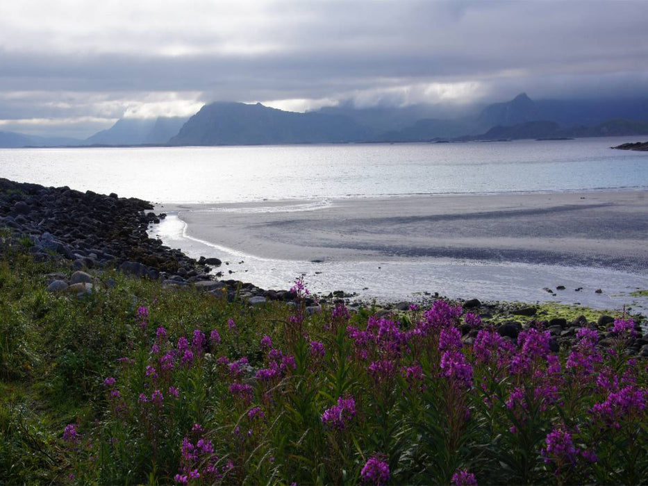 Fjordblick - CALVENDO Foto-Puzzle'