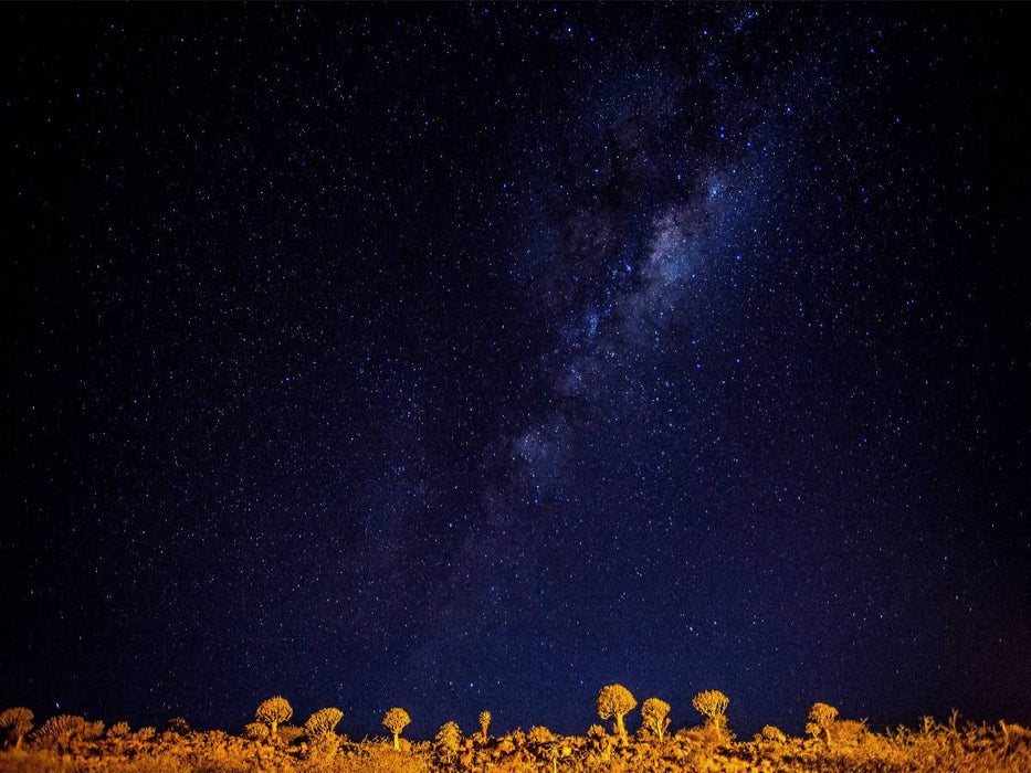 Köcherbaumwald bei Nacht - CALVENDO Foto-Puzzle'