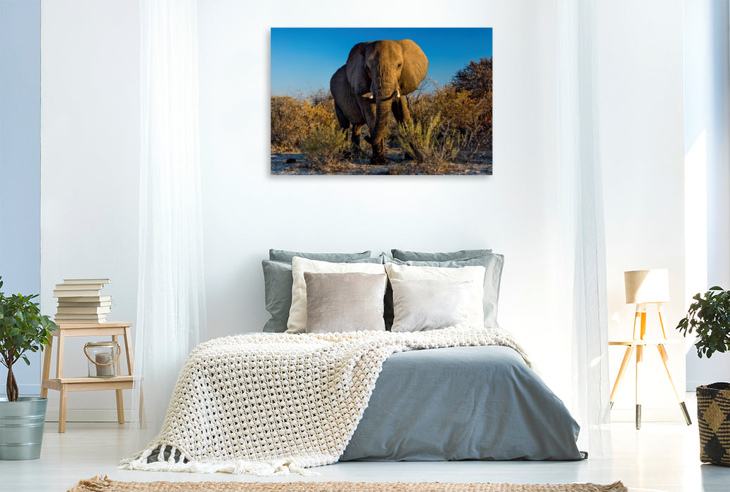 Premium Textil-Leinwand Premium Textil-Leinwand 120 cm x 80 cm quer Elefant in Etosha