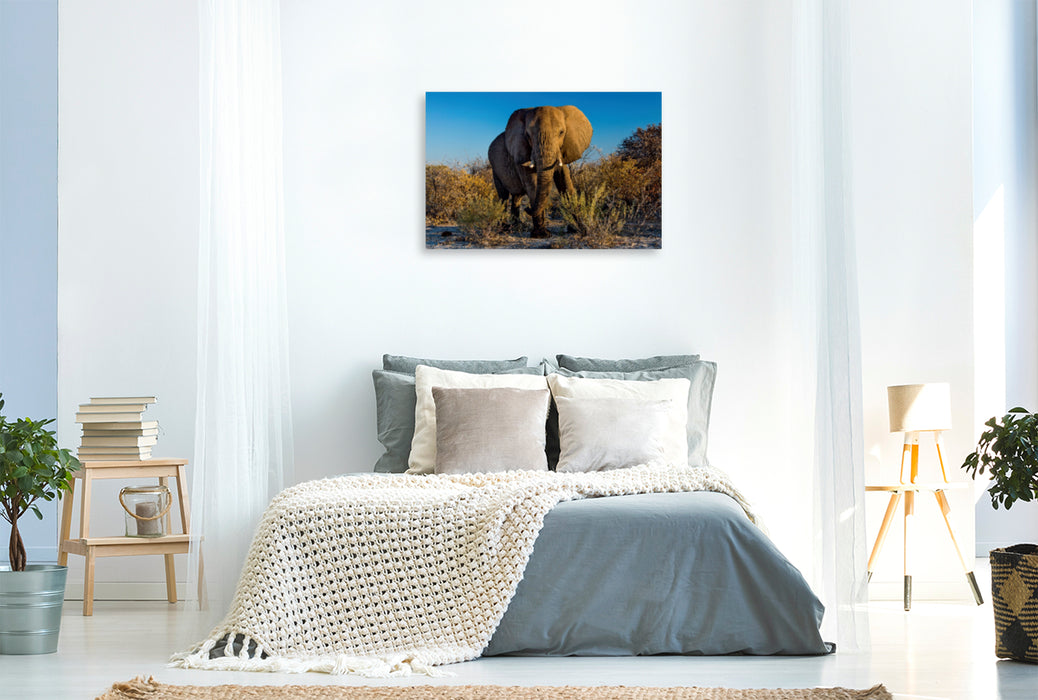 Premium Textil-Leinwand Premium Textil-Leinwand 120 cm x 80 cm quer Elefant in Etosha