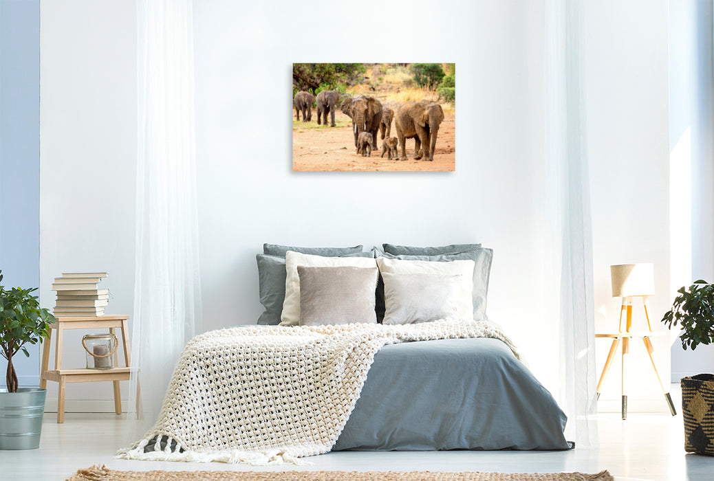 Toile textile premium Toile textile premium 120 cm x 80 cm paysage éléphants 