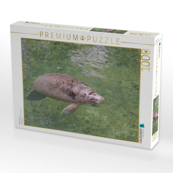 Karibik-Manati - CALVENDO Foto-Puzzle'