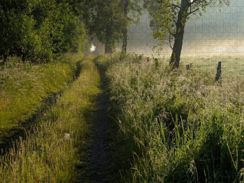 Feldweg am frühen Morgen - CALVENDO Foto-Puzzle'