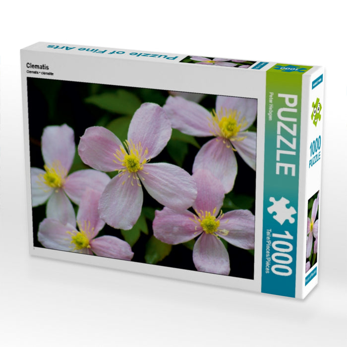Clematis 1000 Teile Puzzle quer - CALVENDO Foto-Puzzle'