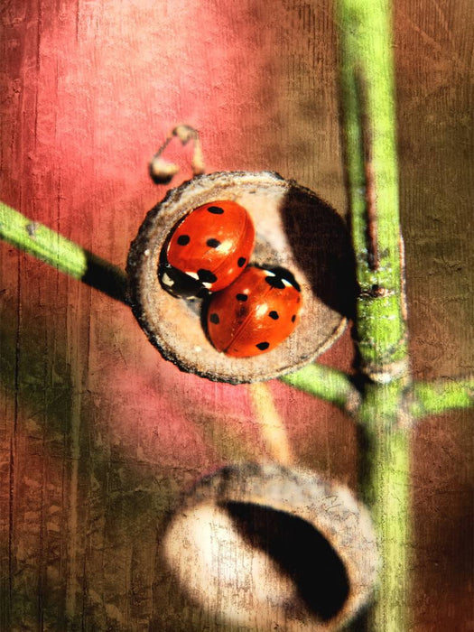 Zimmer für Zwei - CALVENDO Foto-Puzzle'