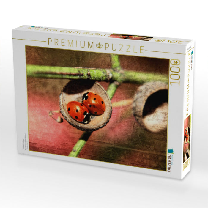 Zimmer für Zwei - CALVENDO Foto-Puzzle'