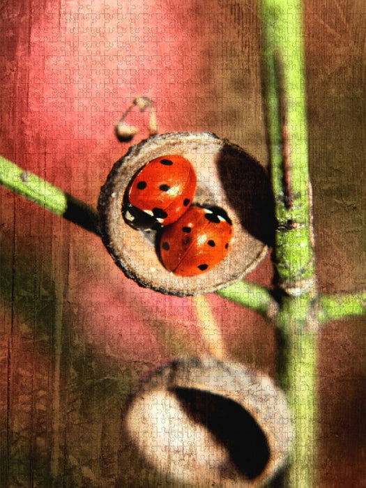 Zimmer für Zwei - CALVENDO Foto-Puzzle'