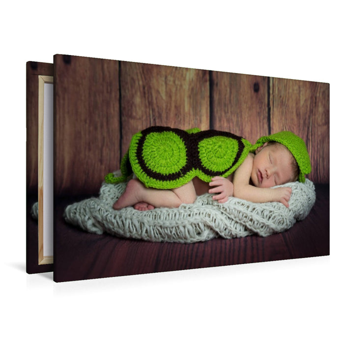 Premium Textil-Leinwand Kleine Schildkröte