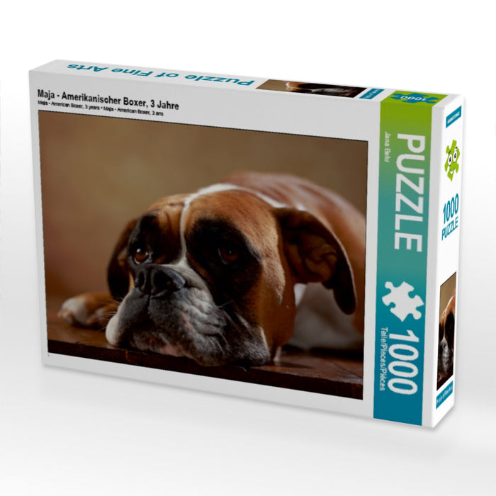 Maja - Amerikanischer Boxer, 3 Jahre 1000 Teile Puzzle quer - CALVENDO Foto-Puzzle'
