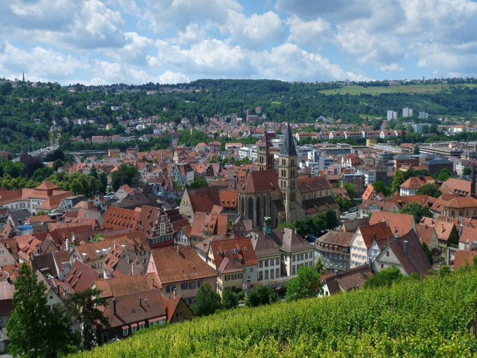 Blick auf Esslingen am Neckar - CALVENDO Foto-Puzzle'