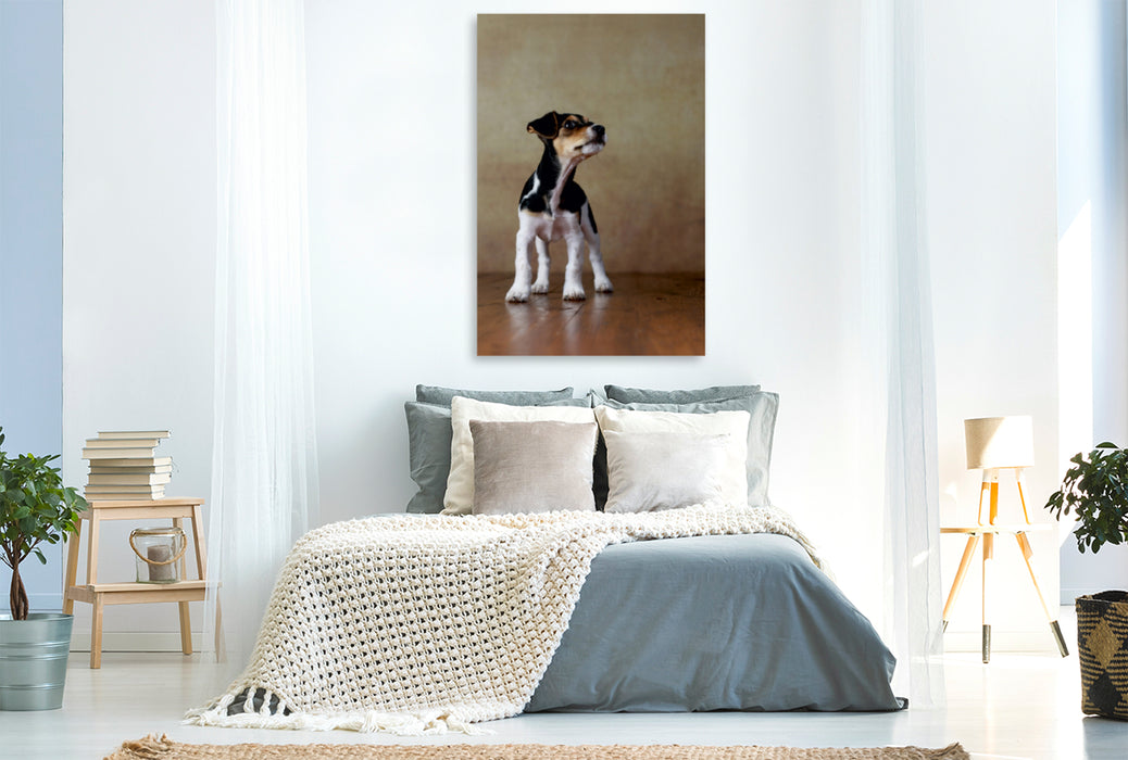 Premium Textil-Leinwand Premium Textil-Leinwand 80 cm x 120 cm  hoch Liu - Jack Russel-Terrier, 10 Wochen