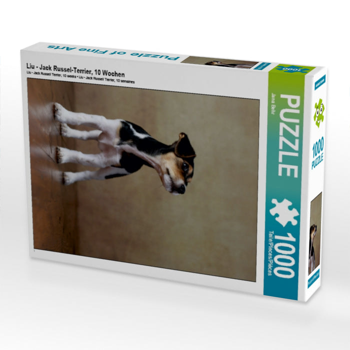 Liu - Jack Russel-Terrier, 10 Wochen 1000 Teile Puzzle hoch - CALVENDO Foto-Puzzle'