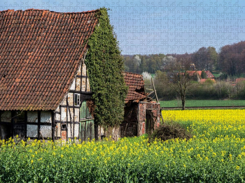 Verlassenes Fachwerkhaus im Landkreis Osnabrück - CALVENDO Foto-Puzzle'
