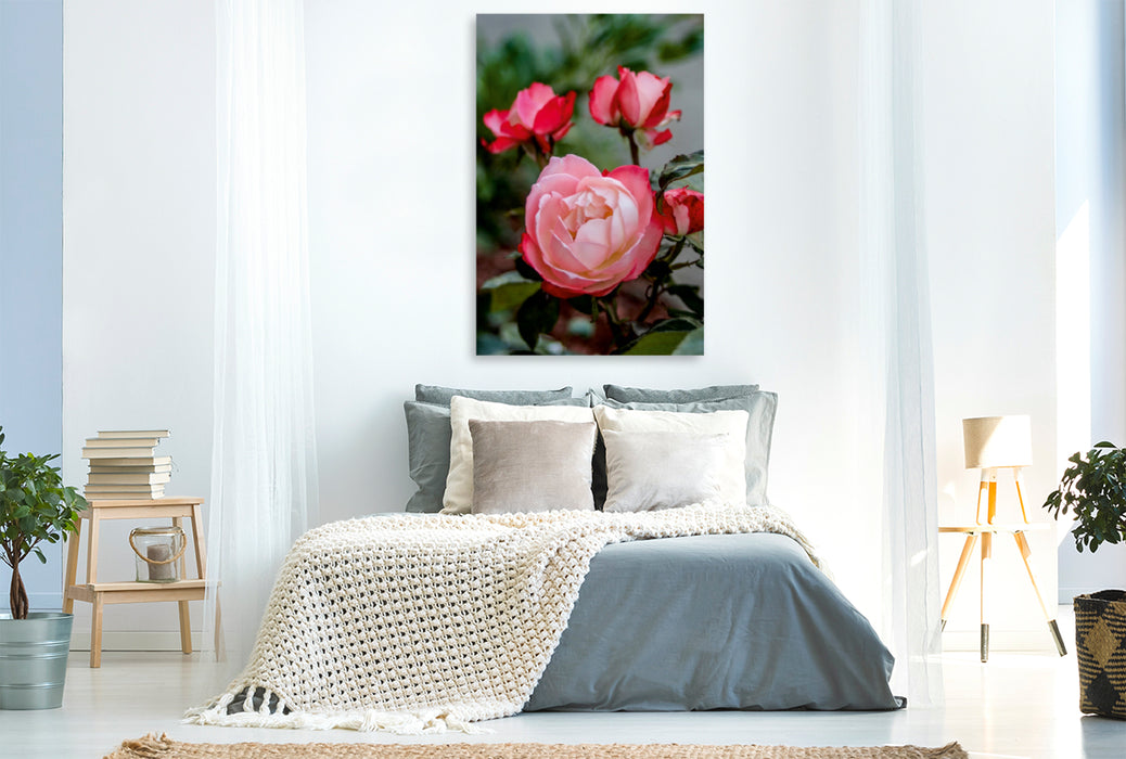 Premium Textil-Leinwand Premium Textil-Leinwand 80 cm x 120 cm  hoch Ein Motiv aus dem Kalender Zauberhafte Rosen