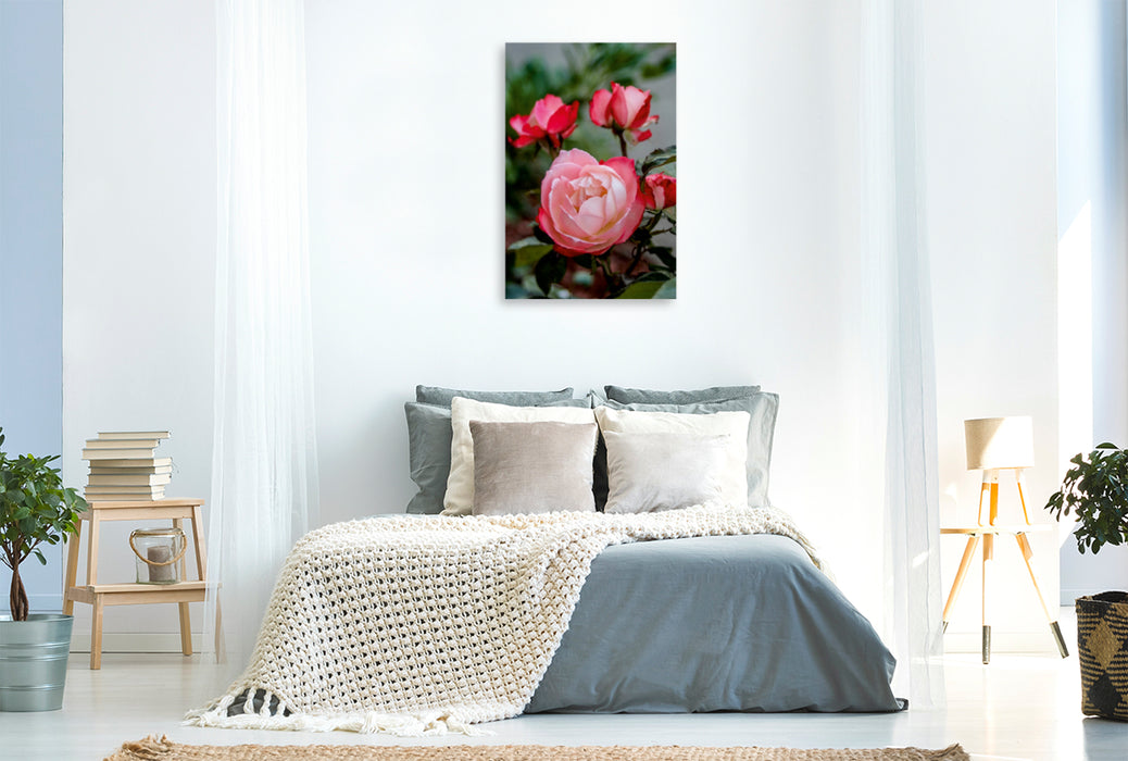 Premium Textil-Leinwand Premium Textil-Leinwand 80 cm x 120 cm  hoch Ein Motiv aus dem Kalender Zauberhafte Rosen