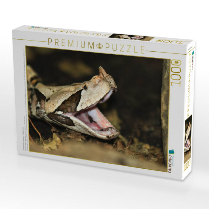 Gefährliche Schlangen - Gabunviper - CALVENDO Foto-Puzzle'