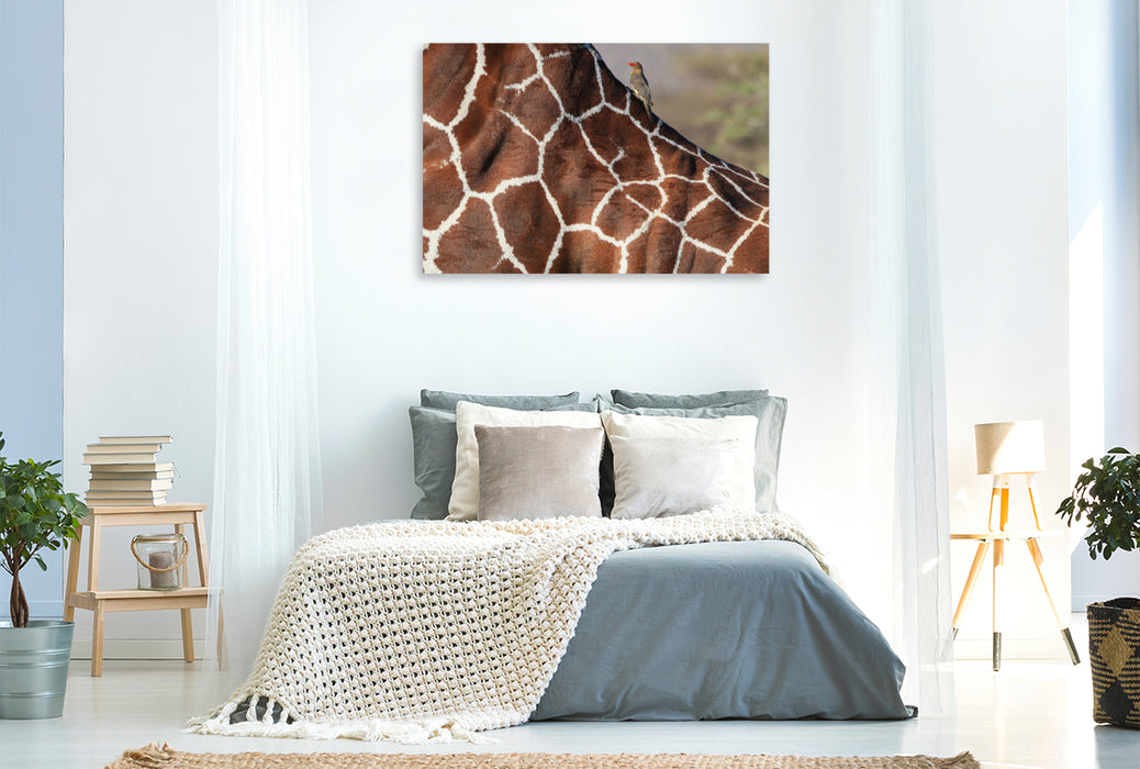 Premium Textil-Leinwand Premium Textil-Leinwand 120 cm x 80 cm quer Giraffen – Sanftheit und Anmut (1)