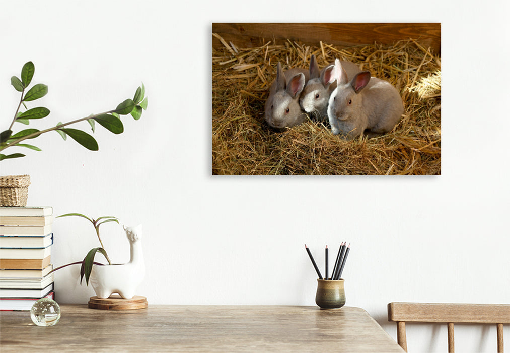 Toile textile premium Toile textile premium 75 cm x 50 cm paysage Enfants lapins mignons 