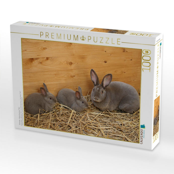 Tierkinder - Kaninchenrasse "Rex" - CALVENDO Foto-Puzzle'