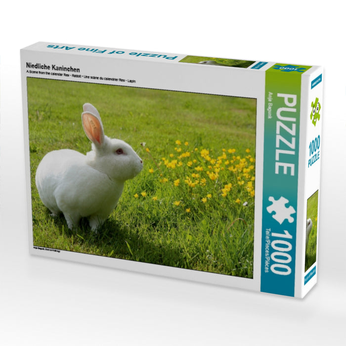 Niedliche Kaninchen 1000 Teile Puzzle quer - CALVENDO Foto-Puzzle'