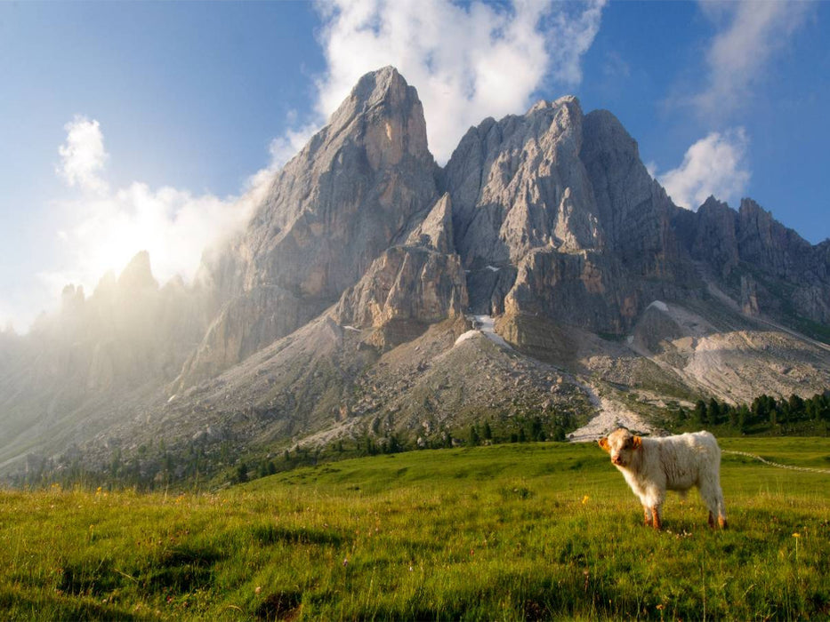 Peitlerkofel - CALVENDO Foto-Puzzle'