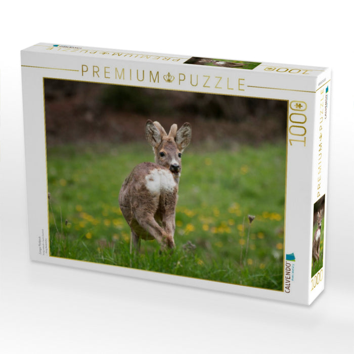 Junger Rehbock - CALVENDO Foto-Puzzle'