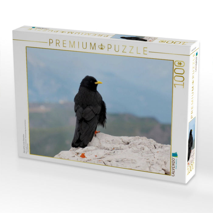 Alpendohle in den Dolomiten - CALVENDO Foto-Puzzle'