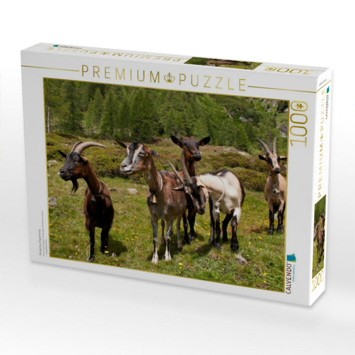 Neugierige Ziegenherde - CALVENDO Foto-Puzzle'