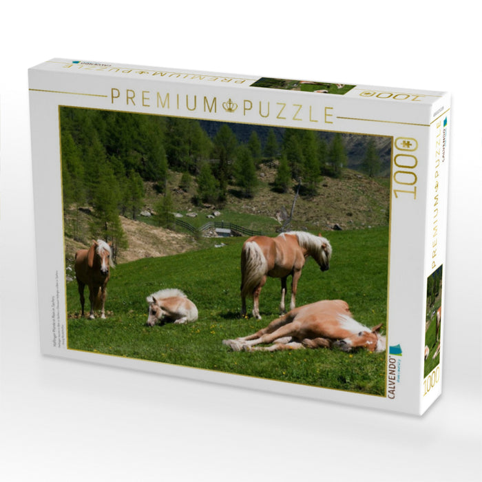 Haflinger Pferde in Rein in Taufers - CALVENDO Foto-Puzzle'