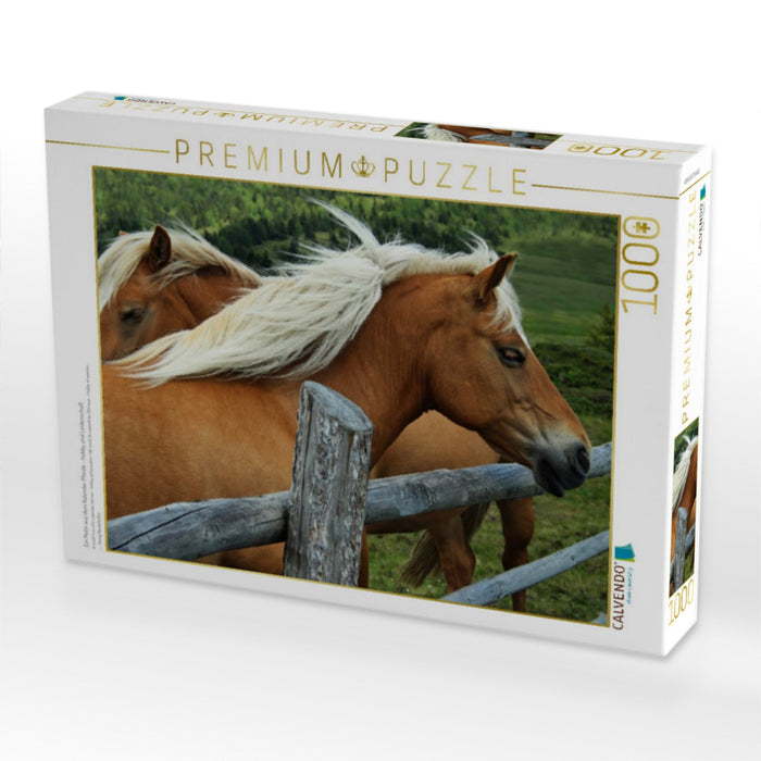Ein Motiv aus dem Kalender Pferde - Hobby und Leidenschaft - CALVENDO Foto-Puzzle'