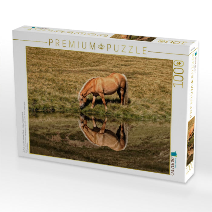 Ein Motiv aus dem Kalender Pferde - Hobby und Leidenschaft - CALVENDO Foto-Puzzle'