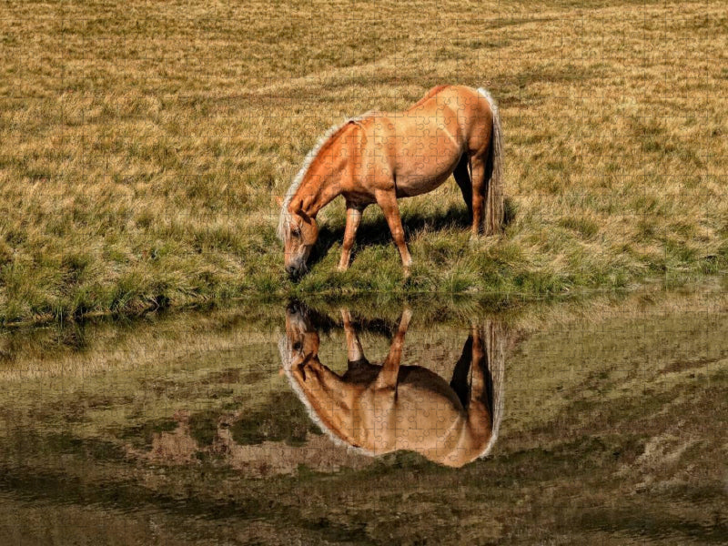 Ein Motiv aus dem Kalender Pferde - Hobby und Leidenschaft - CALVENDO Foto-Puzzle'