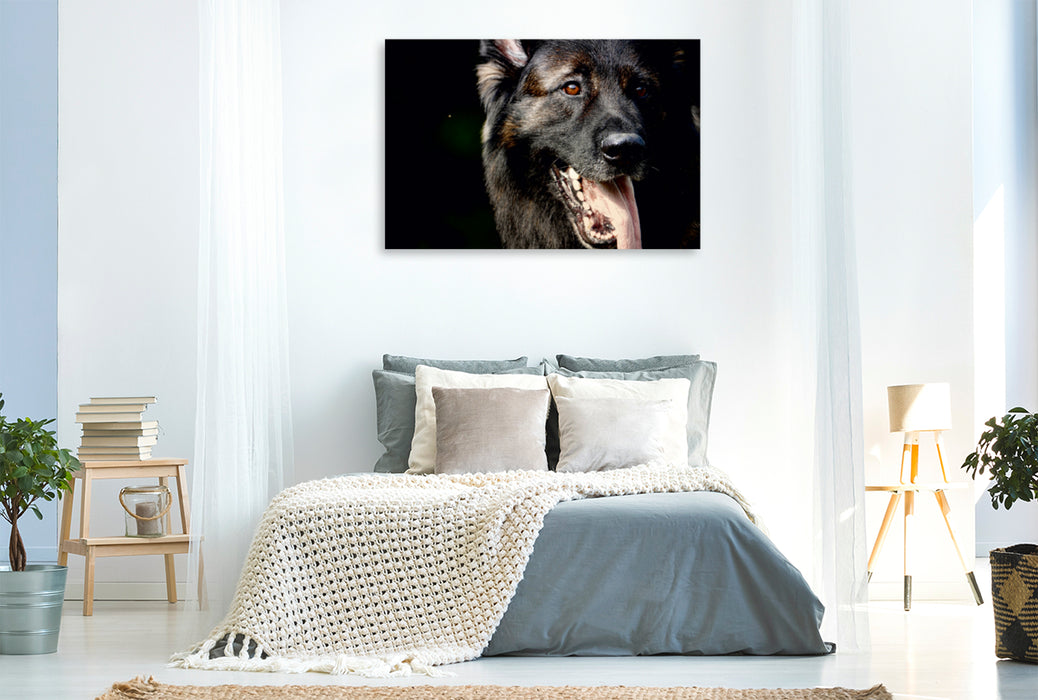 Premium Textil-Leinwand Premium Textil-Leinwand 120 cm x 80 cm quer Liebeserklärung an den Schäferhund