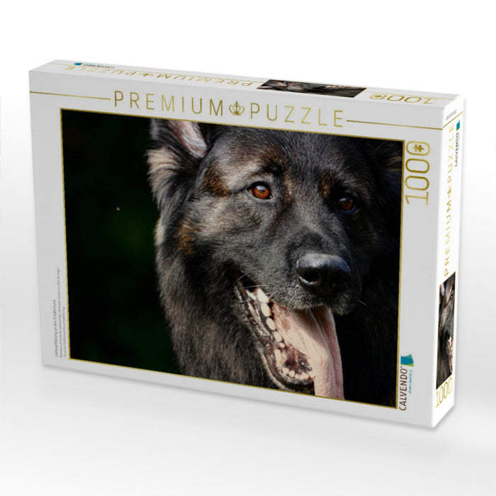 Liebeserklärung an den Schäferhund - CALVENDO Foto-Puzzle'