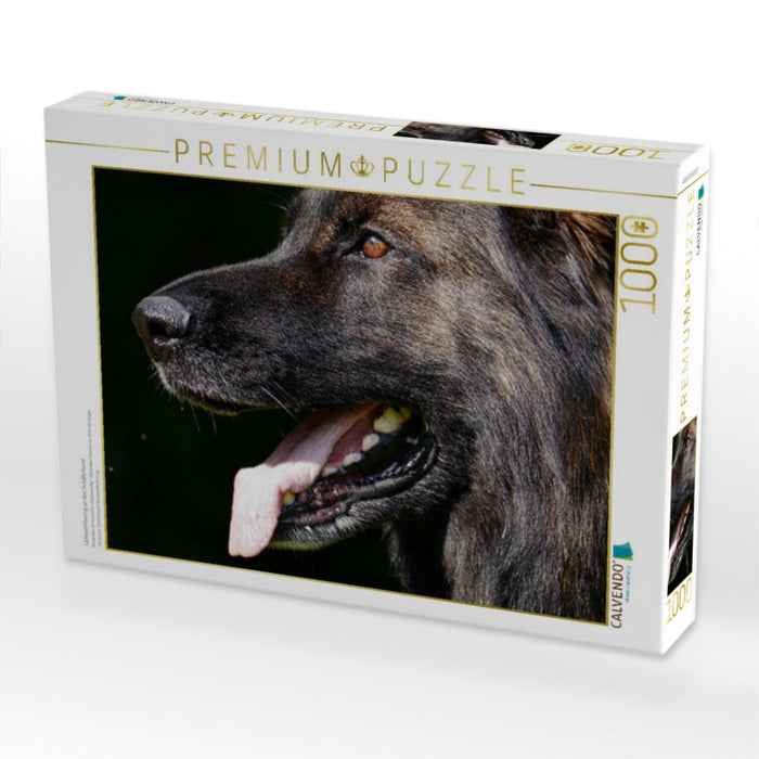 Liebeserklärung an den Schäferhund - CALVENDO Foto-Puzzle'