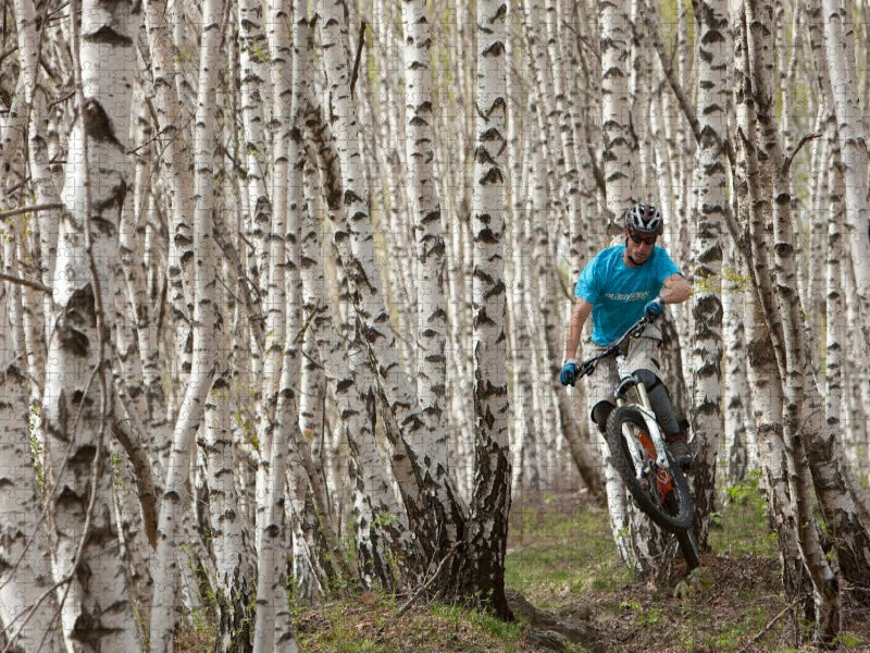 Birkenbiker - CALVENDO Foto-Puzzle'