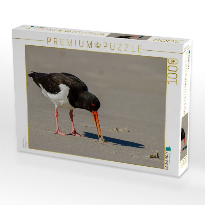 Austernfischer - CALVENDO Foto-Puzzle'