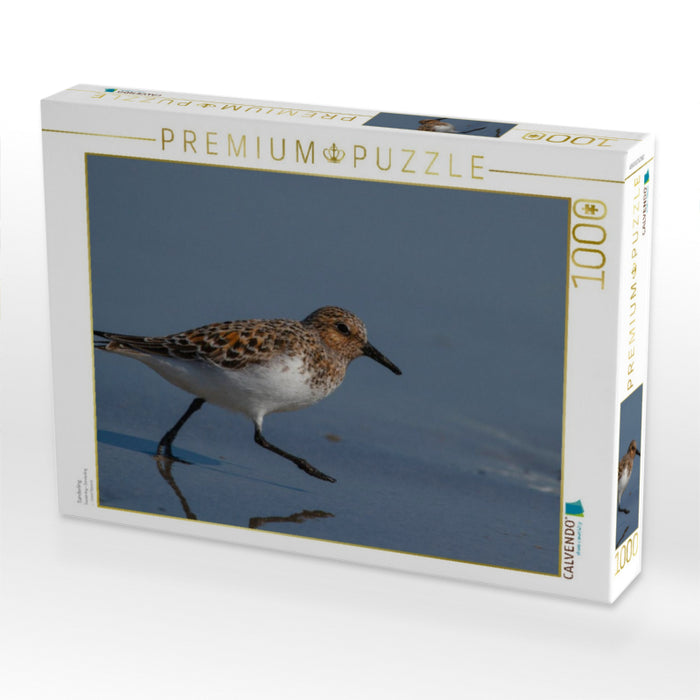 Sanderling - CALVENDO Foto-Puzzle'
