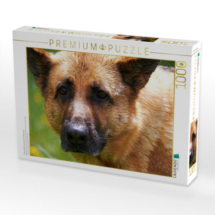 Liebeserklärung an den Schäferhund - CALVENDO Foto-Puzzle'