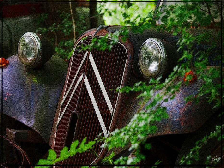 Citroen im grünen Kleid - CALVENDO Foto-Puzzle'