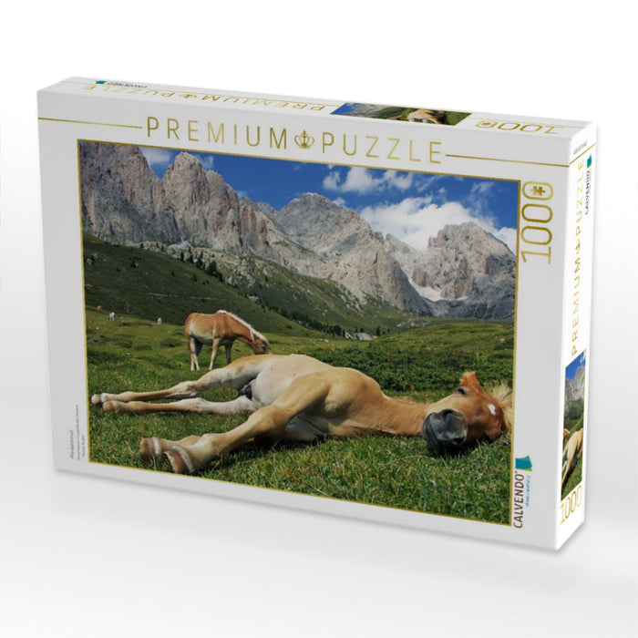 Pferdehimmel - CALVENDO Foto-Puzzle'