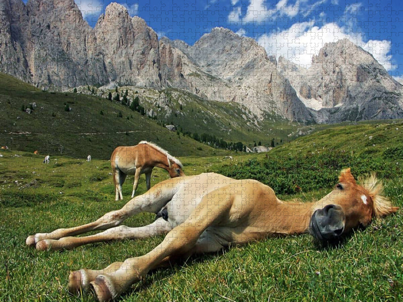 Pferdehimmel - CALVENDO Foto-Puzzle'