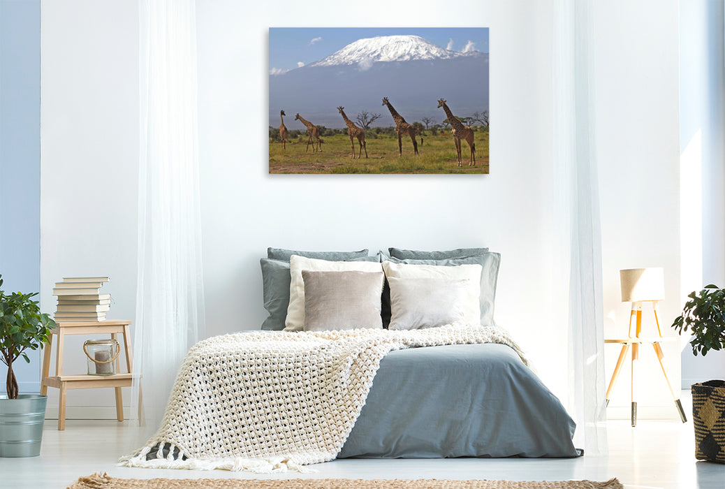 Toile textile premium Toile textile premium 120 cm x 80 cm paysage Girafes - Sur le Kilimandjaro 