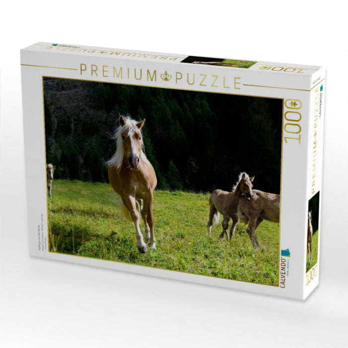 Haflinger auf der Weide - CALVENDO Foto-Puzzle'