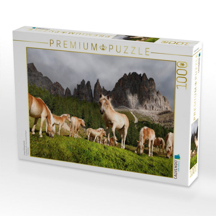 Junge Haflingerherde - CALVENDO Foto-Puzzle'