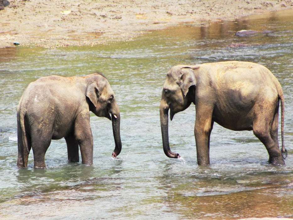 Ratnapura - CALVENDO Foto-Puzzle'
