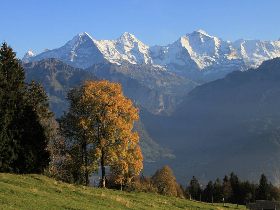 Beatenberg, Berner Oberland, Schweiz - CALVENDO Foto-Puzzle'