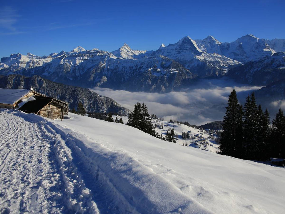 Niederhorn, Beatenberg, Schweiz - CALVENDO Foto-Puzzle'